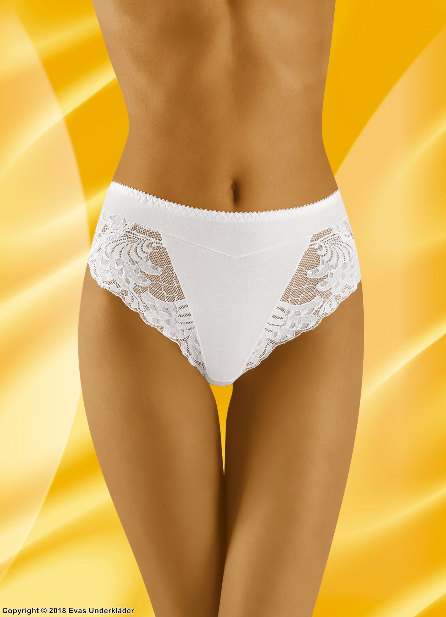 Comfortable briefs, high quality cotton, lace panel, slightly higher waist